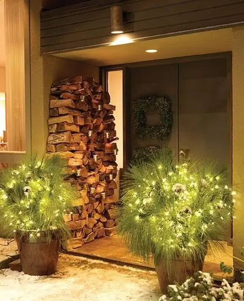 front-door-pot-plants-decorated-for-christmas