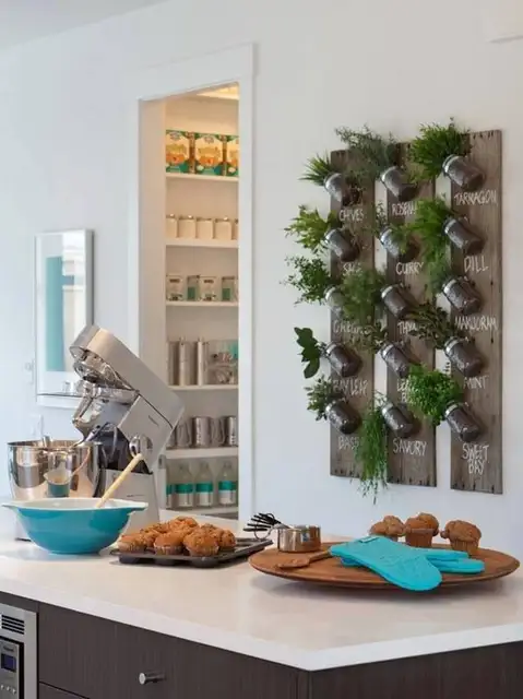 decorat-the-walls-with-herbs