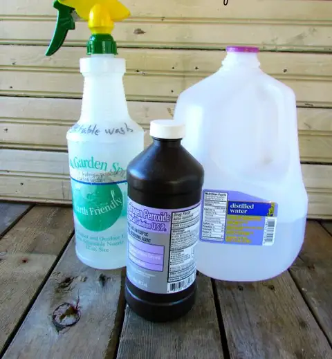 make-your-own-Organic-Pesticide