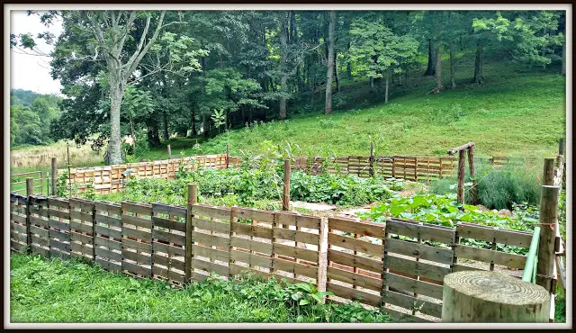 Садовый забор
