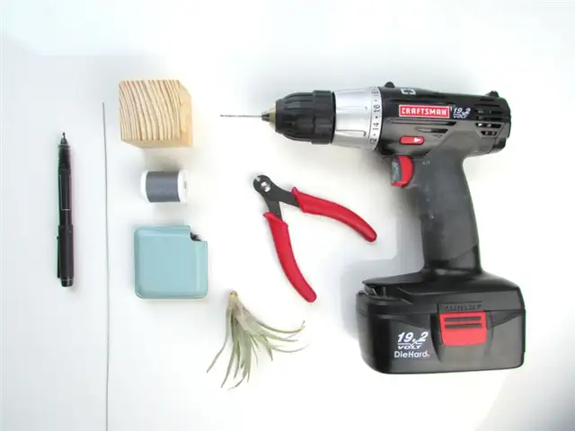 diy-air-plant-stand-supplies