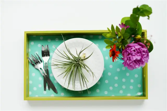 DIY (своими руками)-oil-cloth-covered-tray