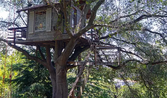 california-tree-house-design