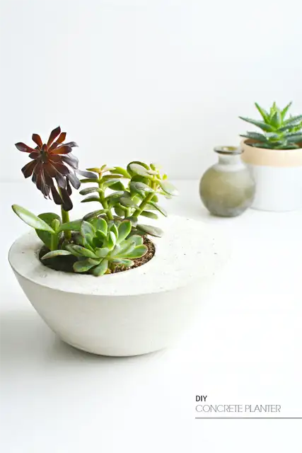 modern-minimalist-concrete-planters