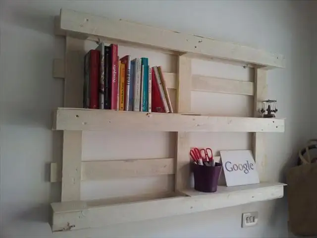 diy-pallet-shelves-display-books