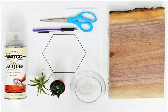 DIY (своими руками)-geometric-terrarium-supplies
