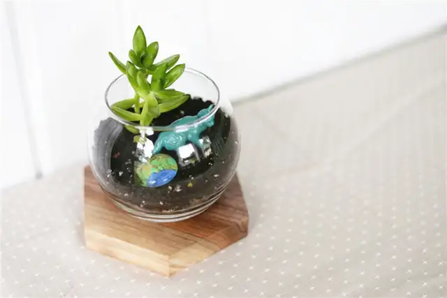 DIY (своими руками)-геометрический террариум
