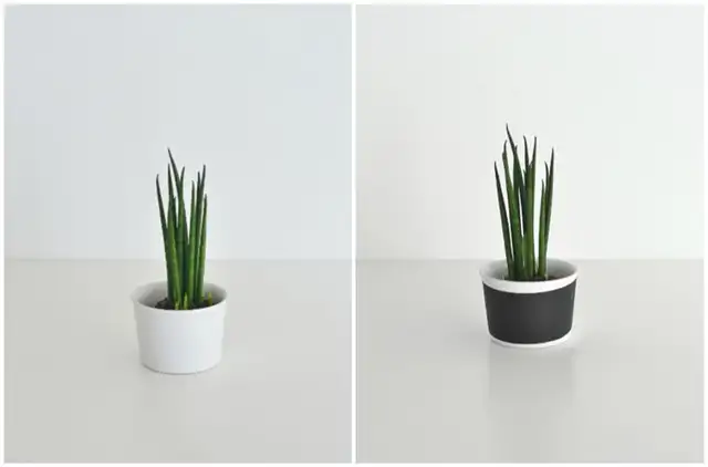 Washi tape Halloween Crafts - Planters
