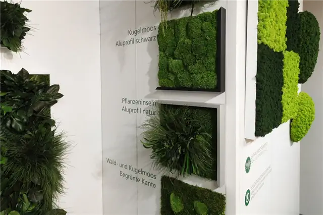 Stylegreen на выставке в Кельне 2016