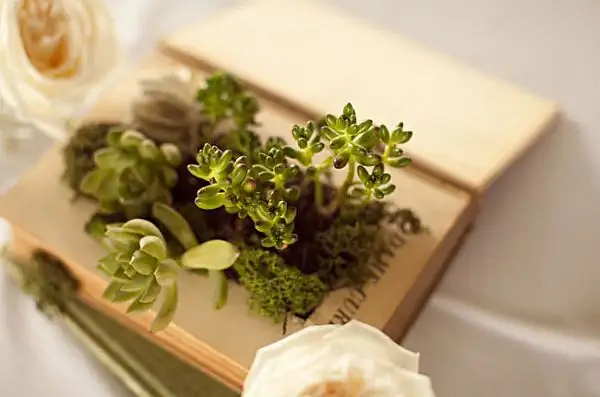 diy-book-planter-06