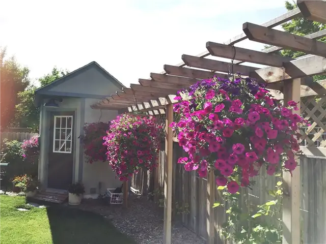 DIY (своими руками) Flower Bed Starts - подвесные растения