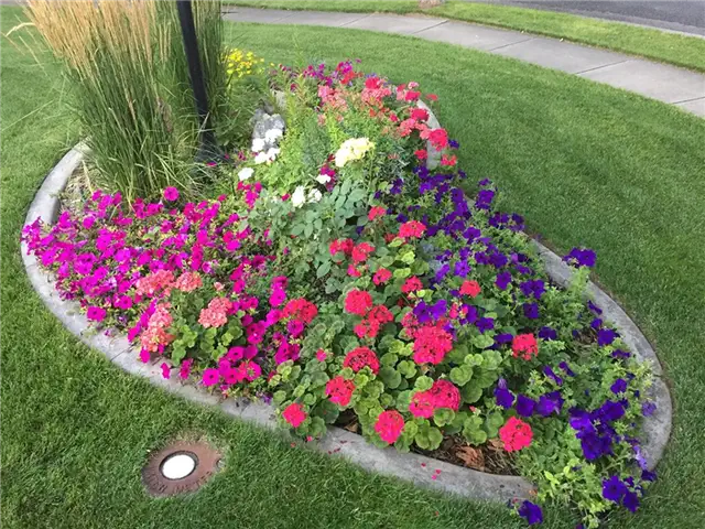 DIY (своими руками) Flower Bed Starts - ландшафтный дизайн перед домом