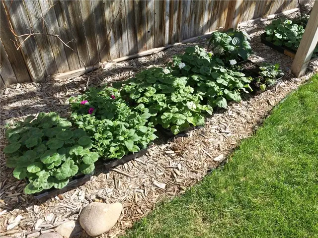 DIY (своими руками) Flower Bed Starts - теплые весенние дни