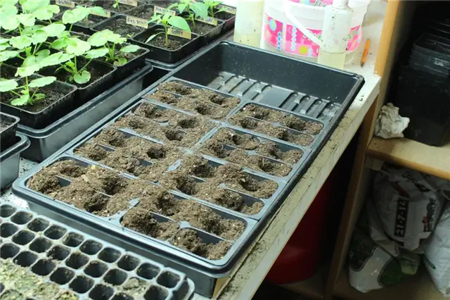 DIY (своими руками) Flower Bed Starts - отверстия остаются в почве