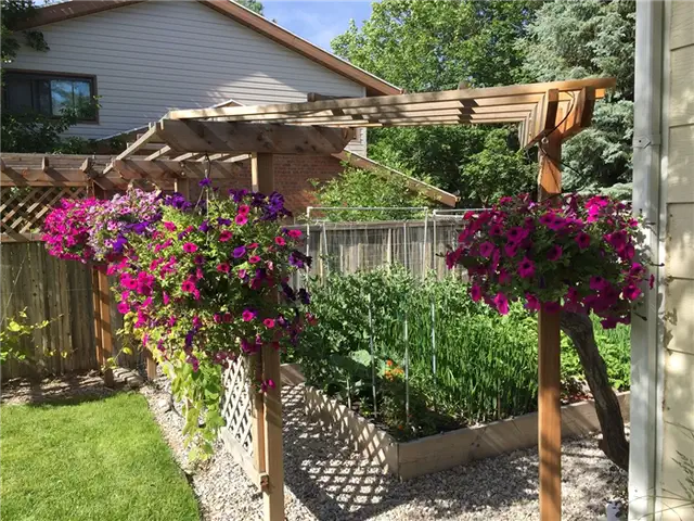 DIY (своими руками) Flower Bed Starts - красочные подвесные растения