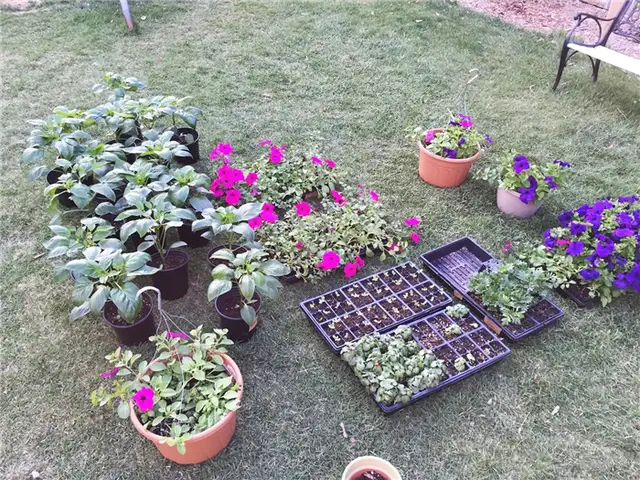 DIY (своими руками) Flower Bed Starts - полив и освещение