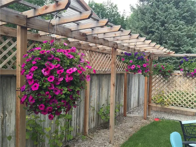 DIY (своими руками) Flower Bed Starts - посадите их в подвесную корзину