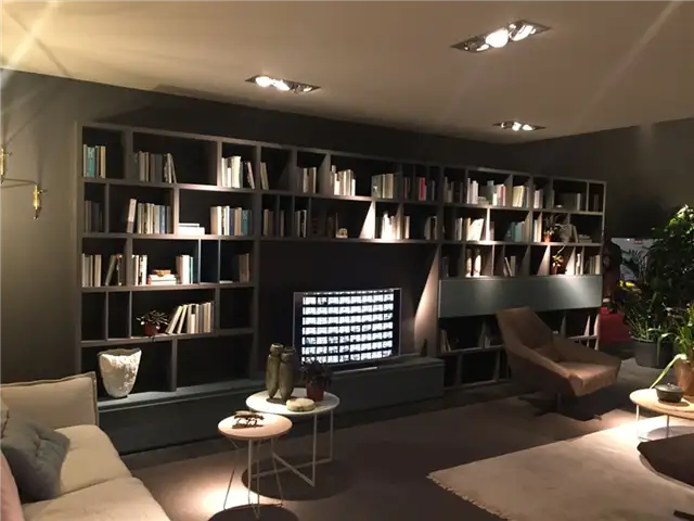 Книжные полки обрамляют телевизор