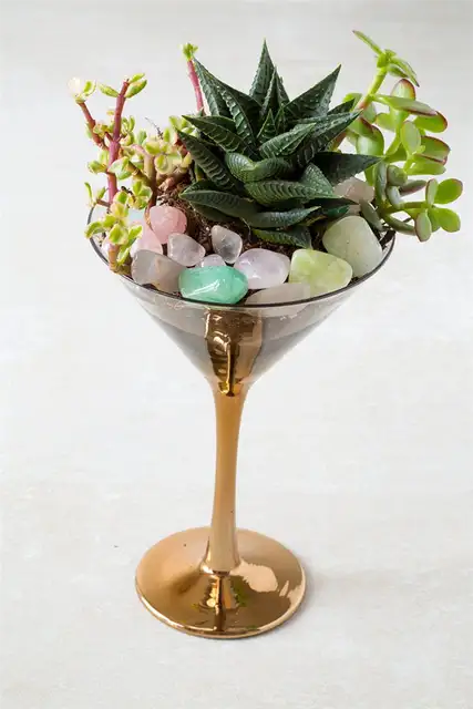 Террариум из коктейльного стекла Thrifted Cocktail Glass Terrarium DIY (своими руками) - дисплей