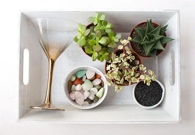 Thrifted Cocktail Glass Terrarium DIY (своими руками) - материалы