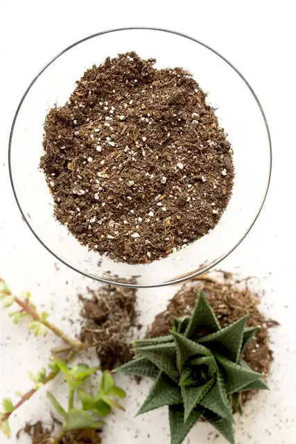 Thrifted Cocktail Glass Terrarium DIY (своими руками) - слой дренирующей почвы