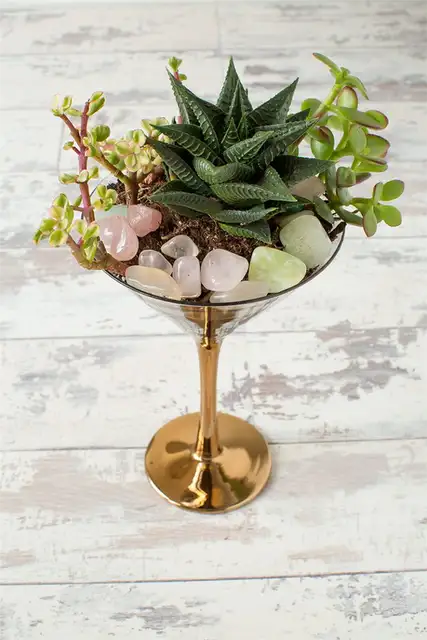 Thrifted Cocktail Glass Terrarium DIY (своими руками)