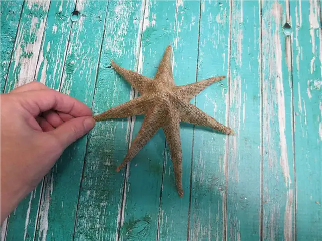 Горячий клей из рогожи