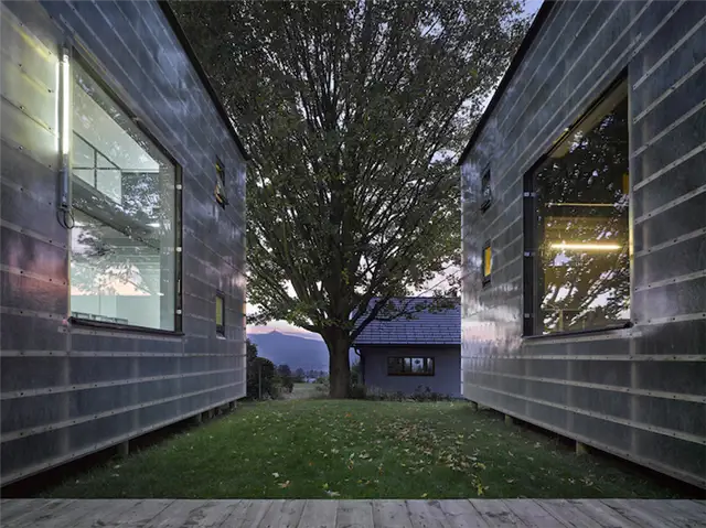 Zen House большое дерево между зданиями