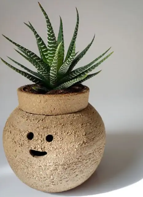Unique-Indoor-Garden-Gift-Ideas-Terracota-Plant-Pot-Designt-by-Namiko-Murakoshi-Hairy-Babes-1