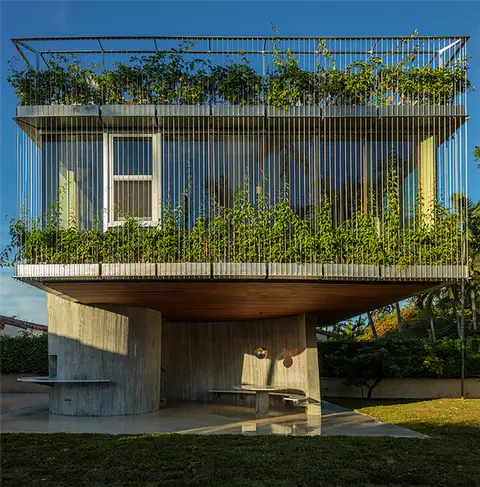 Фасад дома Sun Path House увит виноградными лозами