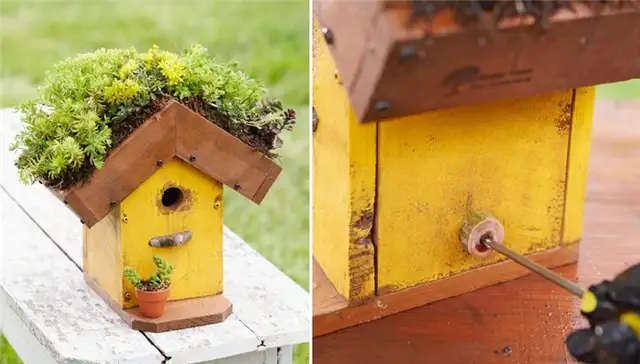 Скворечник с зеленой крышей DIY (своими руками)