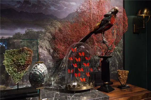 предметы декора objet decuriosite
