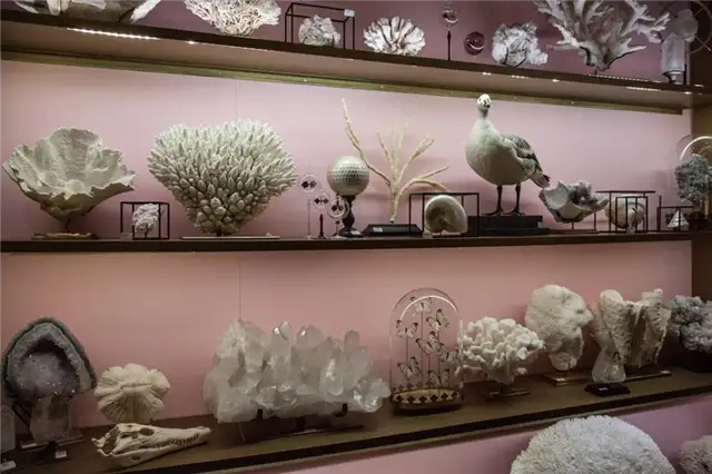 Декоративные предметы Objetdecuriosite для вашего дома