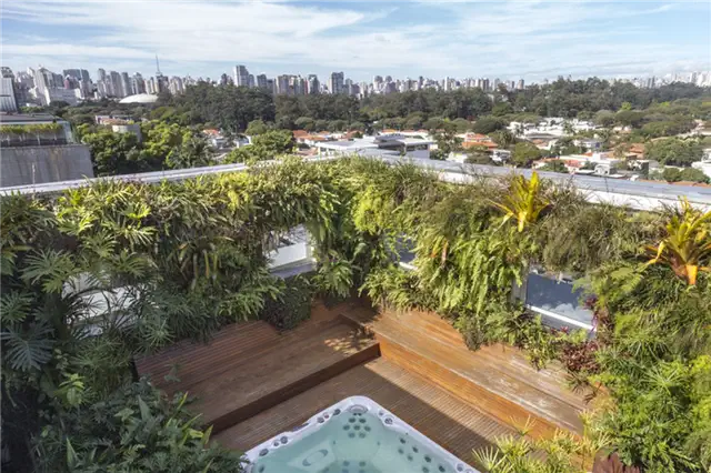 Пентхаус Jardim Paulistano - вид на город