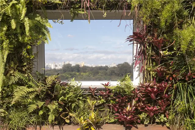 Пентхаус Jardim Paulistano - вид на крышу