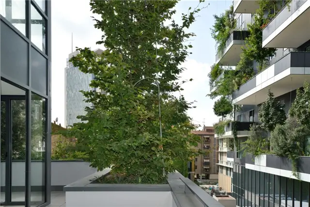 Балкон с большими деревьями - Bosco Verticale