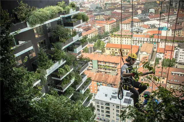 Bosco Verticale Человек обрабатывает растения