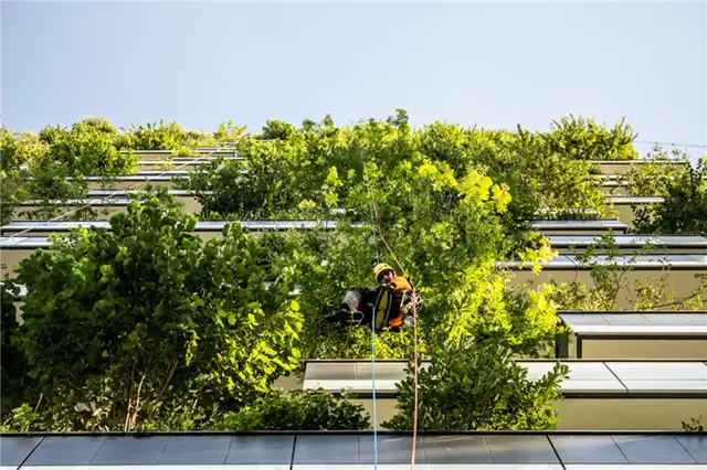 Зеленая растительность Bosco Verticale
