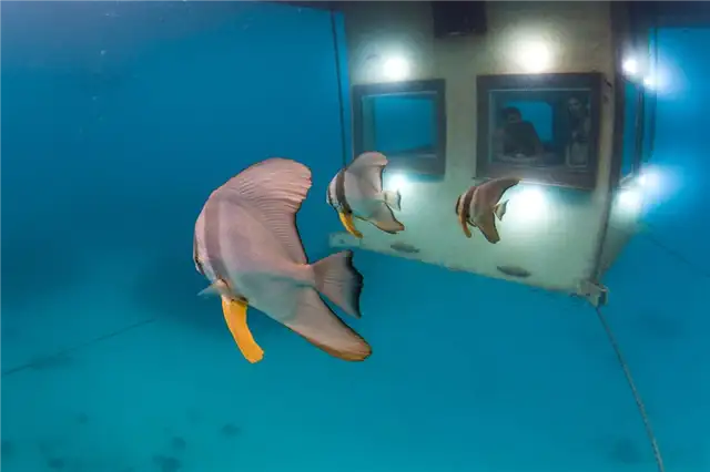 Подводный отель The Manta Resort