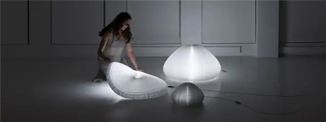 Urchin Molo Design