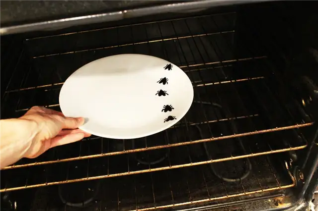 DIY (своими руками) Запеченные тарелки с насекомыми - уберите тарелку, когда сможете сделать это голыми руками