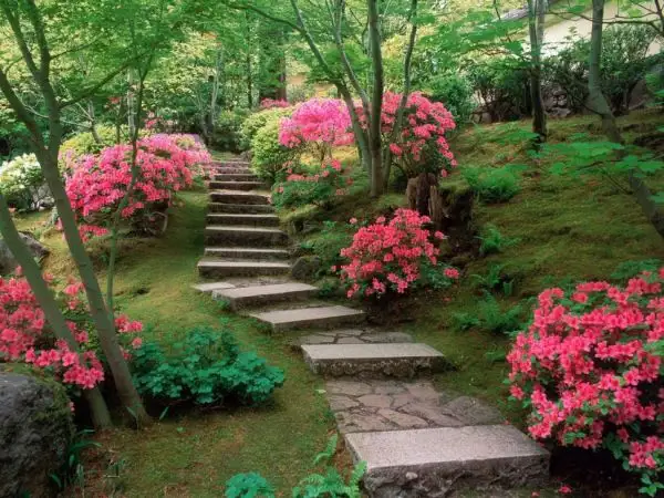 backyard-flower-garden-designs-with-pink-flower