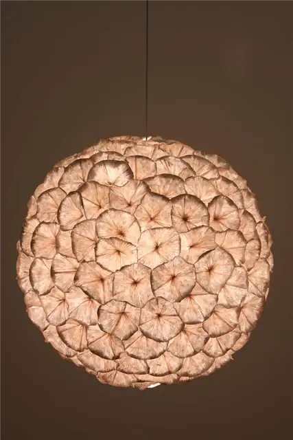 20504387_000_m