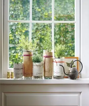 grown-herbs