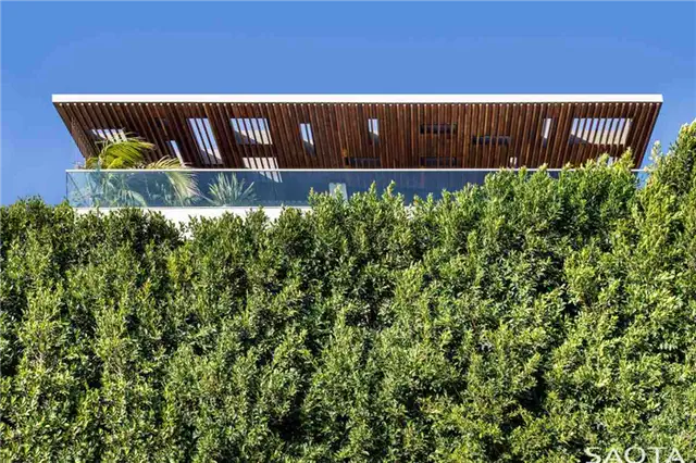 Резиденция Hill Side Ave Saota Los Angeles Residence - пышная растительность