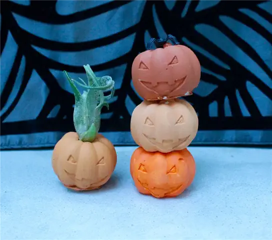 Суккуленты Halloween Pumpkin Air Plant Holders