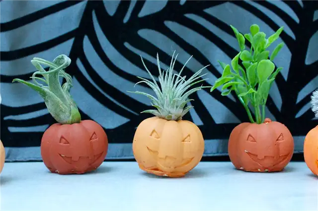 Хэллоуин тыквы воздушные растения держатели DIY (своими руками)
