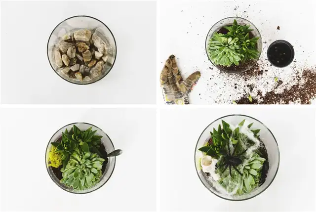 DIY (своими руками) Spooky Terrarium Инструкции