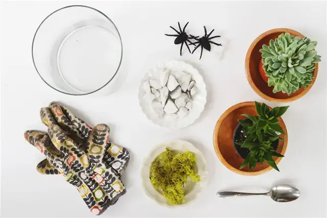 Материалы для изготовления террариума DIY (своими руками) Spooky Terrarium
