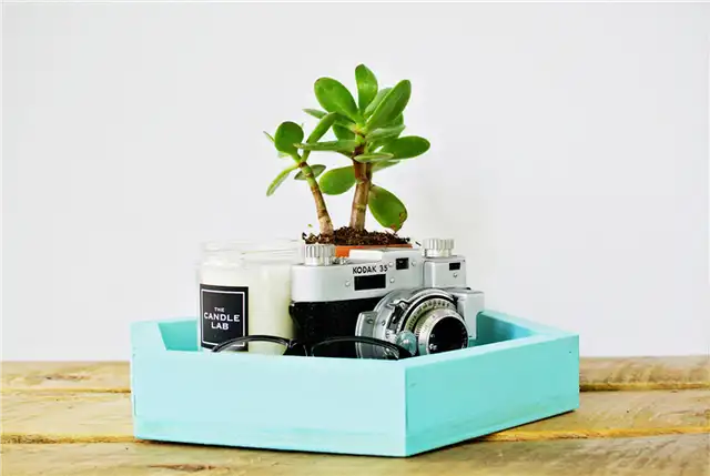деревянный шестигранный поднос DIY (своими руками)